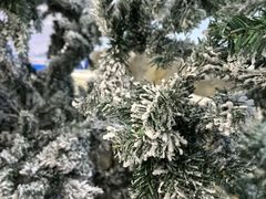 -广州热雪奇迹
