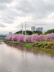 -梓爱月子中心(花都店)
