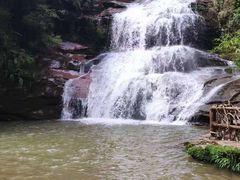 -青峰峡国家森林公园