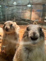 -Zoolung Zoolung动物主题公园(海信广场店)