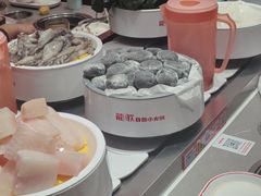 -龍歌自助小火锅(雨花台江南虹悦城店)