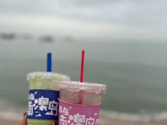 -南澳岛打卡果汁冰公司