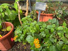 -国家植物园南园