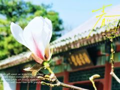 -海棠花溪(元大都城垣遗址公园)