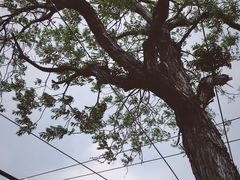 -脚下咖啡·CHILL酒馆(灵光东巷店)