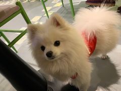 -越弥越南传统美食馆
