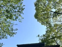 -中国茶叶博物馆(双峰馆区)
