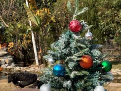 -HERRE·FARM 赫尔露营农场·团建聚会包场