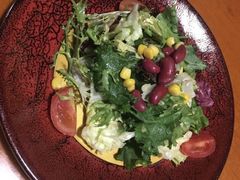 田园时蔬沙拉-布拉格餐厅· 中欧捷克菜(全国首店)