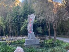 -沕沕水生态风景区