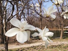 -共青国家森林公园-售票处