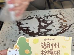 -猫的魔法密林(衣裳街店)