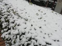 -德全心悦酒店(北京金台路地铁站店)