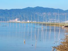 -北岐滩涂