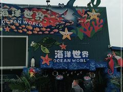 -白鹿仓冰雪海洋世界