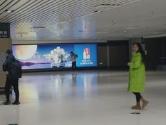 -哈尔滨太平国际机场-T2航站楼