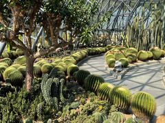 -深圳仙湖植物园