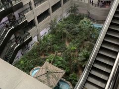 -黑龙江中医药大学附属第一医院