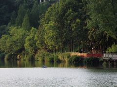 -重庆彩云湖湿地公园