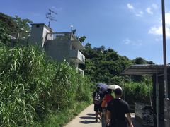 -南丫岛