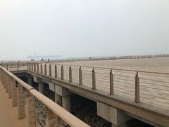 -东疆建设开发纪念公园