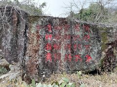 -广州市流溪河国家森林公园