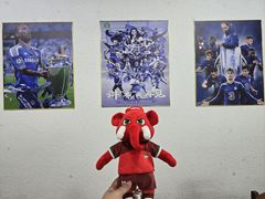 -车路士海鲜餐厅·本地人常驻·鲜捞现做(汕头南澳店)