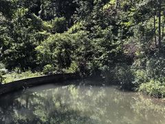 -东天目山风景区