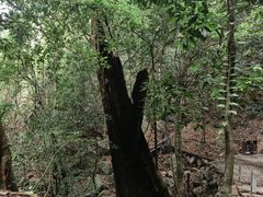 -七仙岭温泉国家森林公园