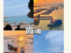 -西双版纳原始森林公园