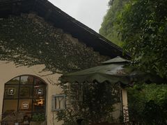 -村上春树