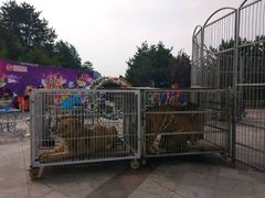 -山西通天峡景区