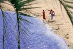 -金夫人婚纱摄影