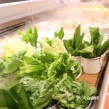 怕胖又爱吃肉的集美们一定要试试~味道清甜有韧性