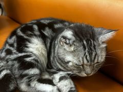 -疯狂烤翅(飘逸路店)