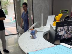 -半岛宠物医院24小时(白果林店)