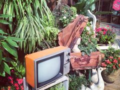 iphone_upload_pic-胡桃里乐队酒馆(鎏嘉码头店)