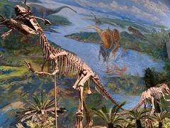 -自贡恐龙博物馆