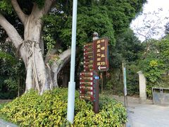 -荔湾湖公园