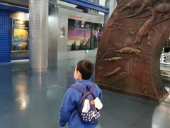 -国家自然博物馆