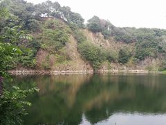 -王借岗森林公园