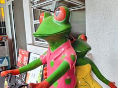 -靓蛙馆