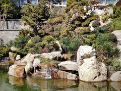 -南宁荔园维景国际酒店·荔园中餐厅
