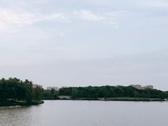 -昆山城市生态森林公园