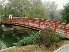 桥-元大都城垣遗址公园