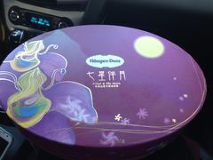 -哈根达斯(朝阳大悦城店)