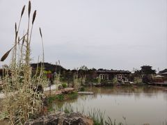 -洛阳古墓博物馆