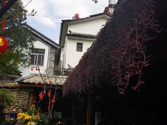 -尽善百年古院餐厅(王家老宅店)