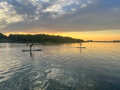 -河南省体育场馆中心游泳馆