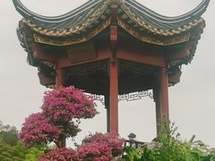 -顺峰山公园